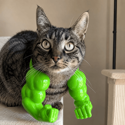 Front view of a tabby cat wearing a green bodybuilder muscle costume with large sculpted arms and fists.