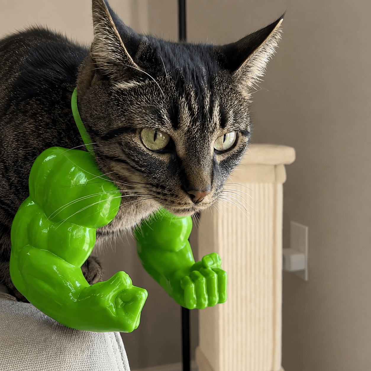 Side view of a cat wearing a green muscle cat costume with oversized arms while perched on the back of a chair.