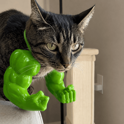Side view of a cat wearing a green muscle cat costume with oversized arms while perched on the back of a chair.