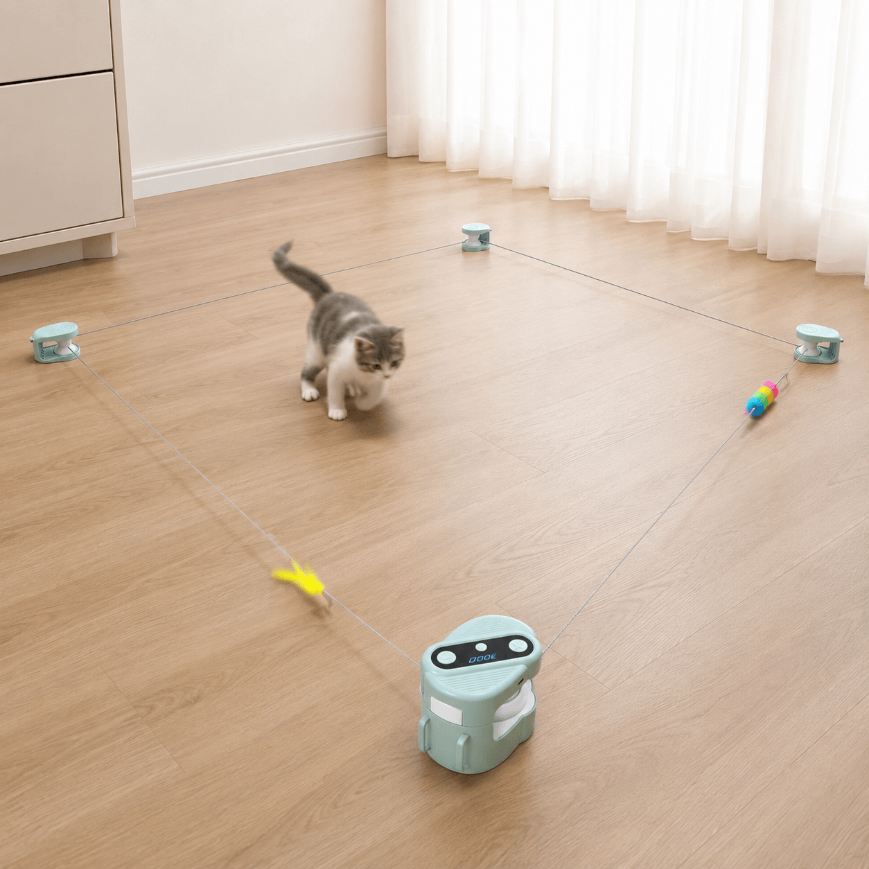 An indoor cat chasing moving teaser lures around a customizable Chase Course Interactive Cat Toy setup.