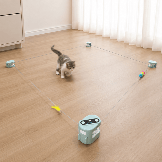An indoor cat chasing moving teaser lures around a customizable Chase Course Interactive Cat Toy setup.
