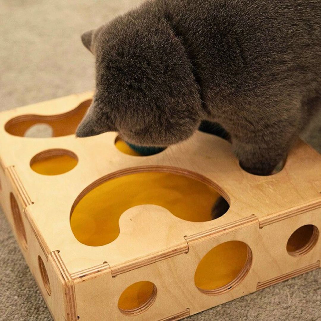 Interactive wooden cat toy box tracks balls