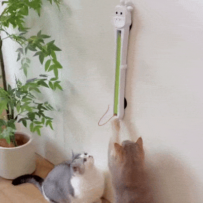 Animated demonstration of cats chasing the moving string on a wall-mounted interactive cat toy.