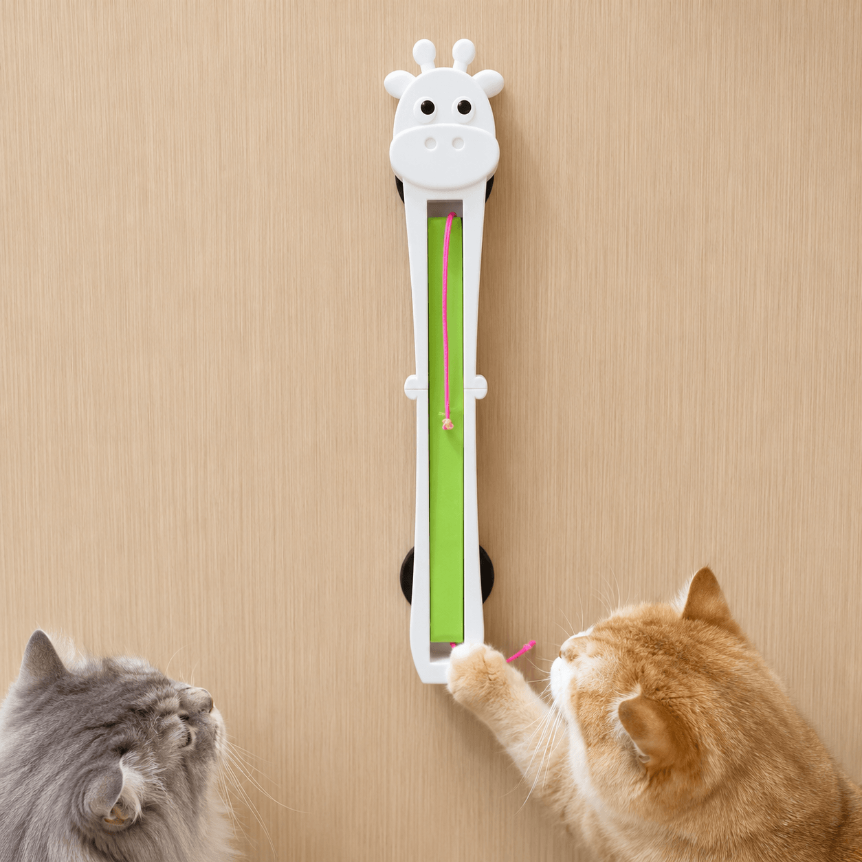 Two cats playing with a wall-mounted Moving String Interactive Cat Toy during indoor playtime.