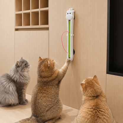 Three indoor cats chasing the moving string on a wall-mounted interactive cat toy.