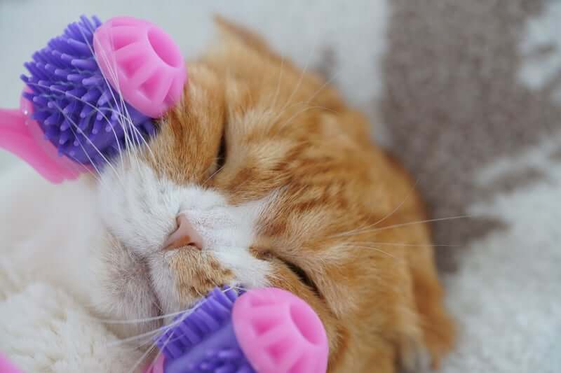 Kitty Tongue Cat Massage Roller