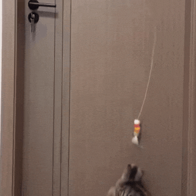 Animated demonstration of Vertical Hunt automatic hanging cat toy with unpredictable motion that stimulates natural hunting instincts