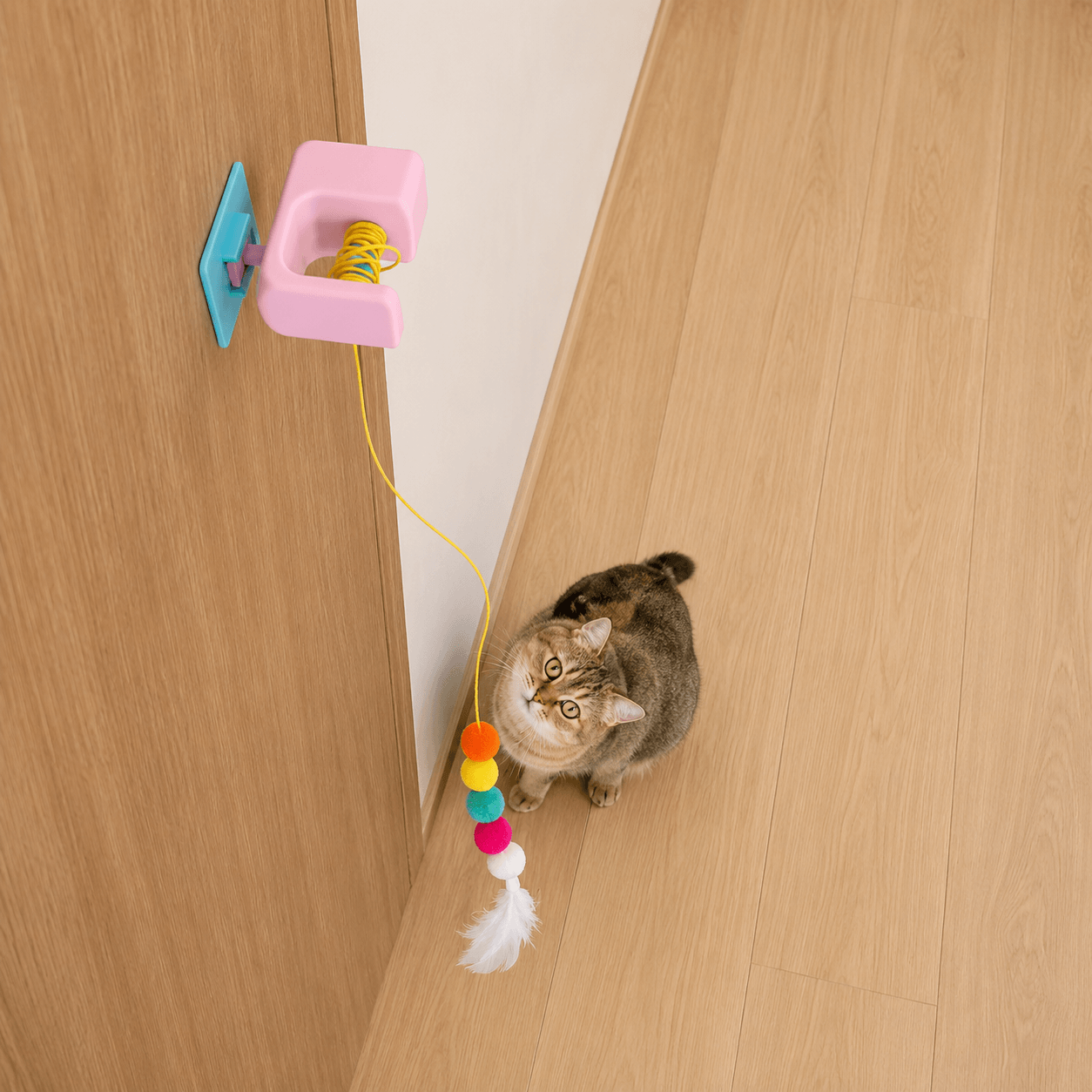 Indoor cat watching Vertical Hunt automatic hanging cat toy mounted on a door frame for independent play