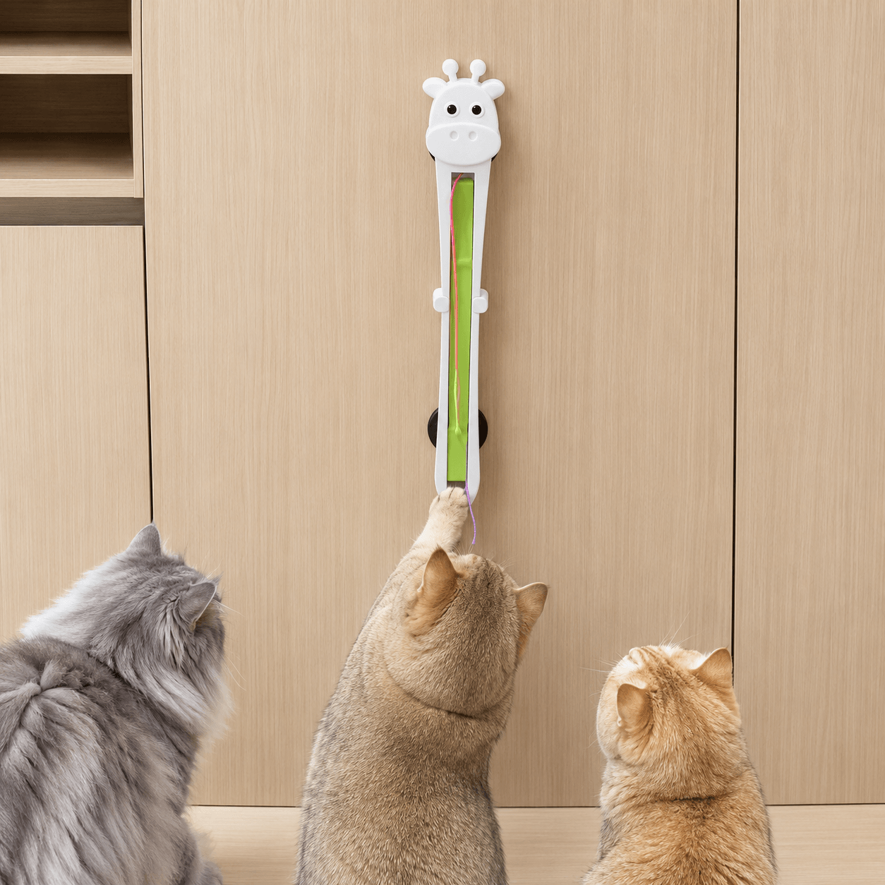 Wall-mounted Moving String Interactive Cat Toy installed on a door for independent cat play.