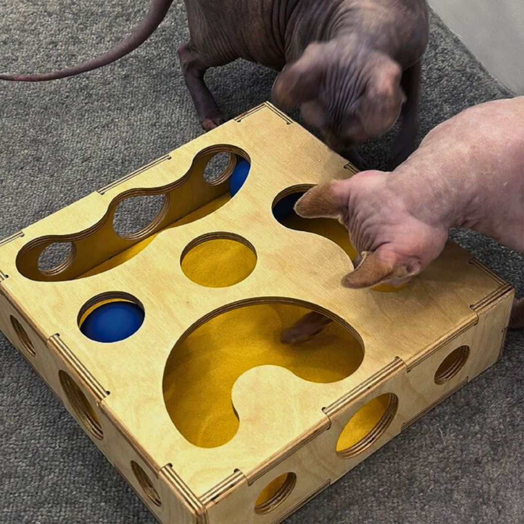 Interactive wooden cat toy box tracks balls