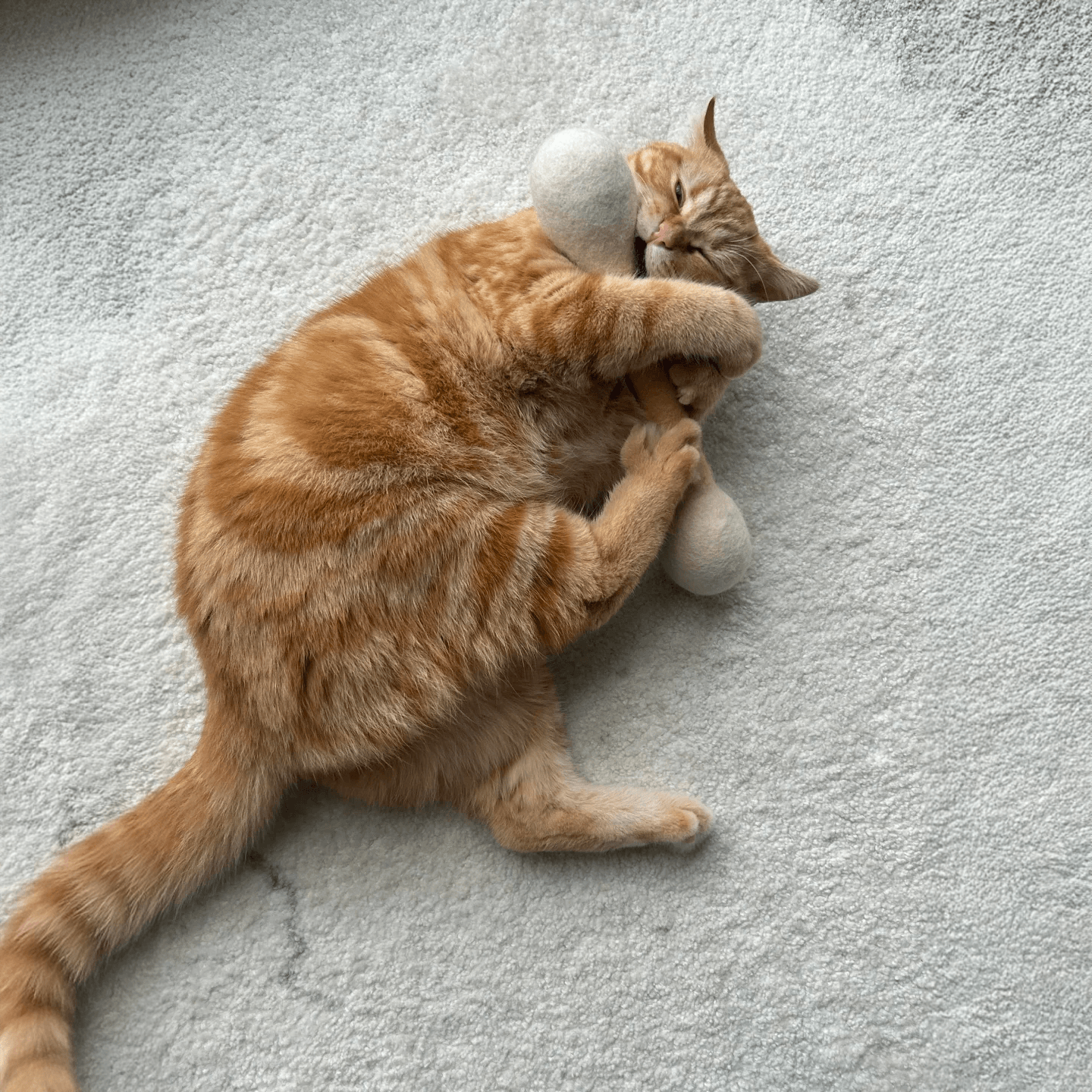 Cat chewing a wool felt cat toy infused with catnip