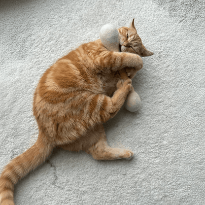 Cat chewing a wool felt cat toy infused with catnip