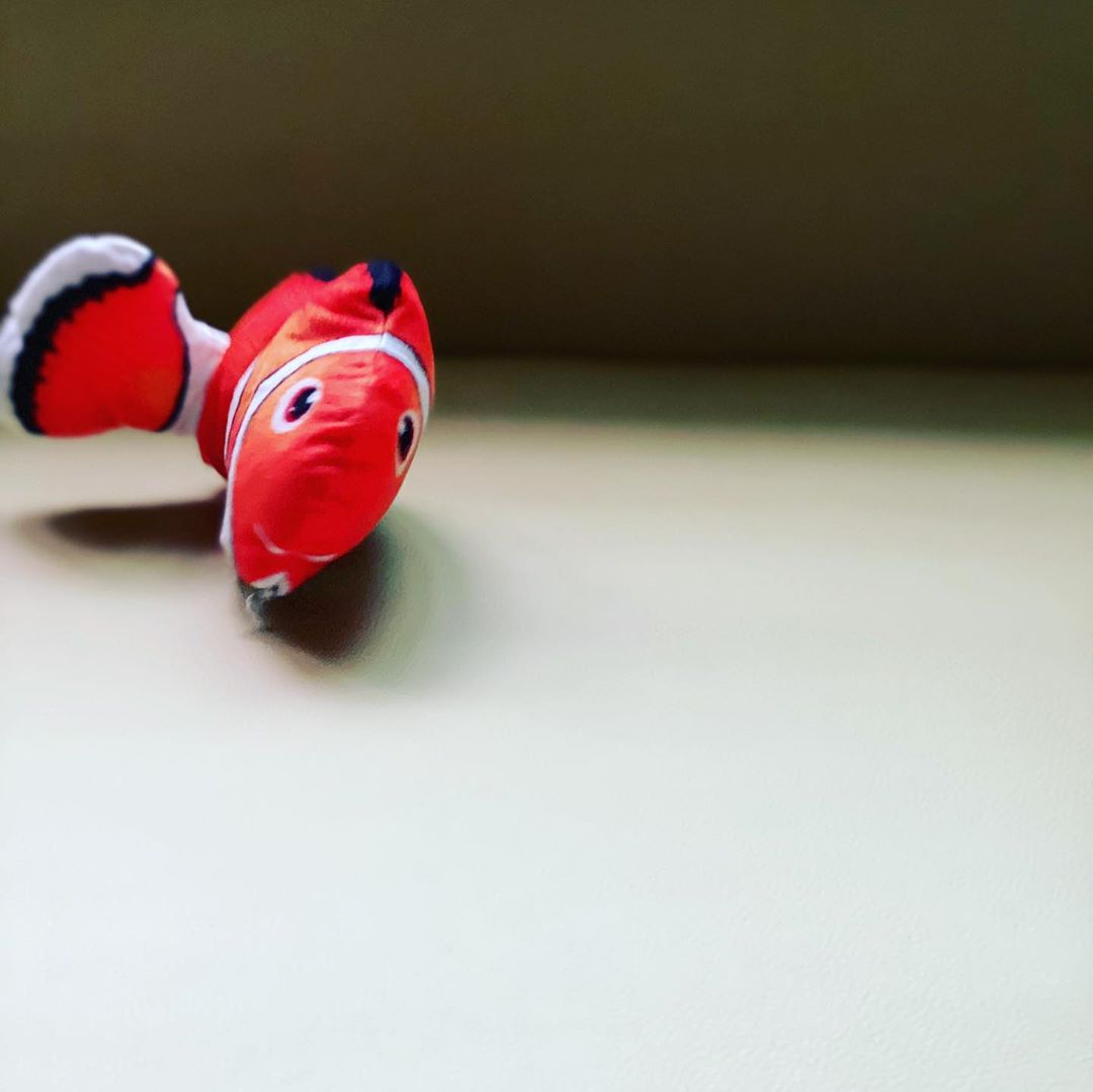 Dancing Fish Catnip Kicker Toy (Clownfish) - Petites Paws