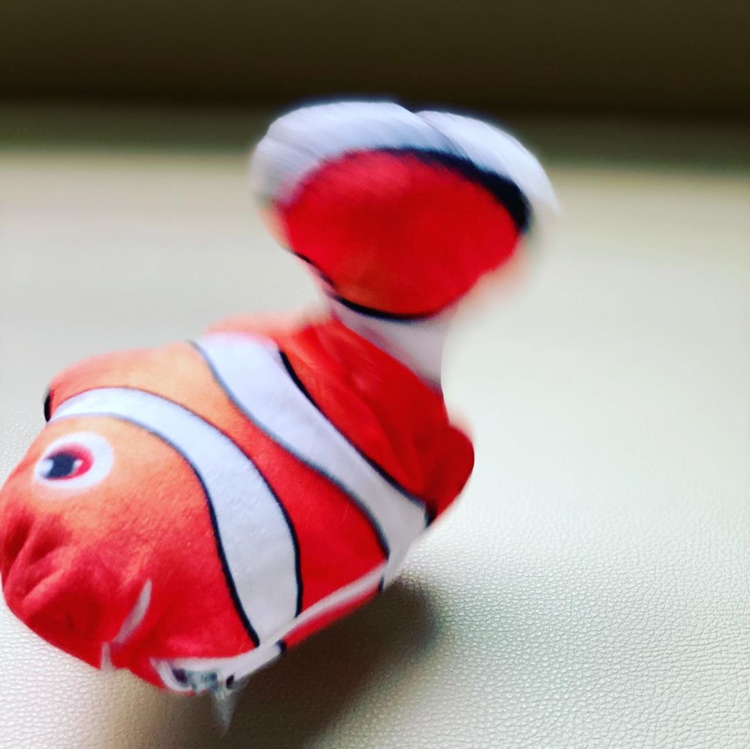 Dancing Fish Catnip Kicker Toy (Clownfish) - Petites Paws