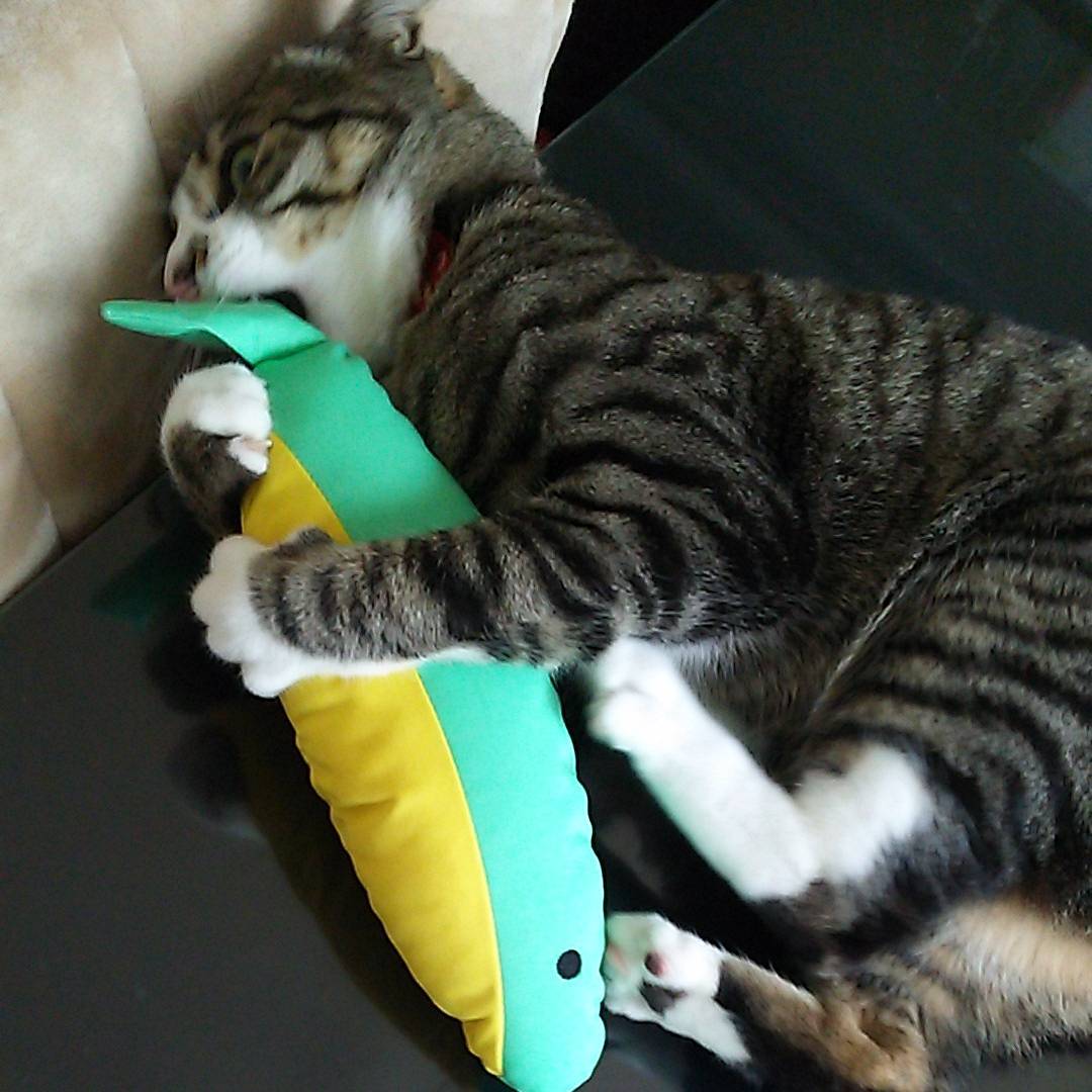 Petio Japanese Cat Kicker Toy (Fish) - Petites Paws