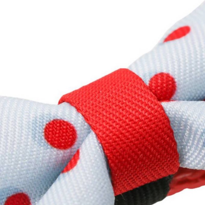 Pidan Polka Dots Cat Collar - Petites Paws