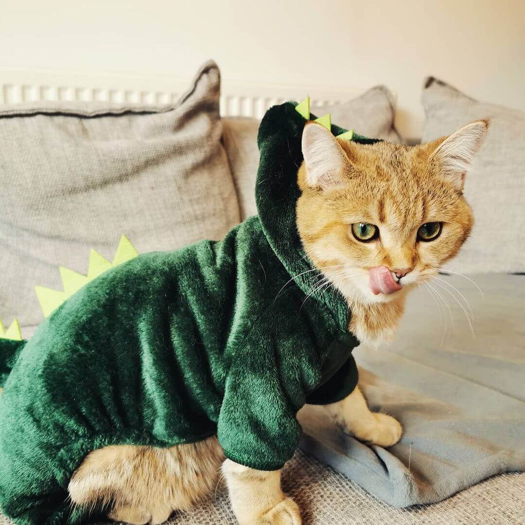 Dinosaur Cat Costume