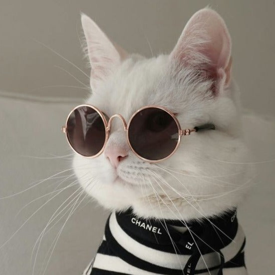 Retro Pet Sunnies - Petites Paws