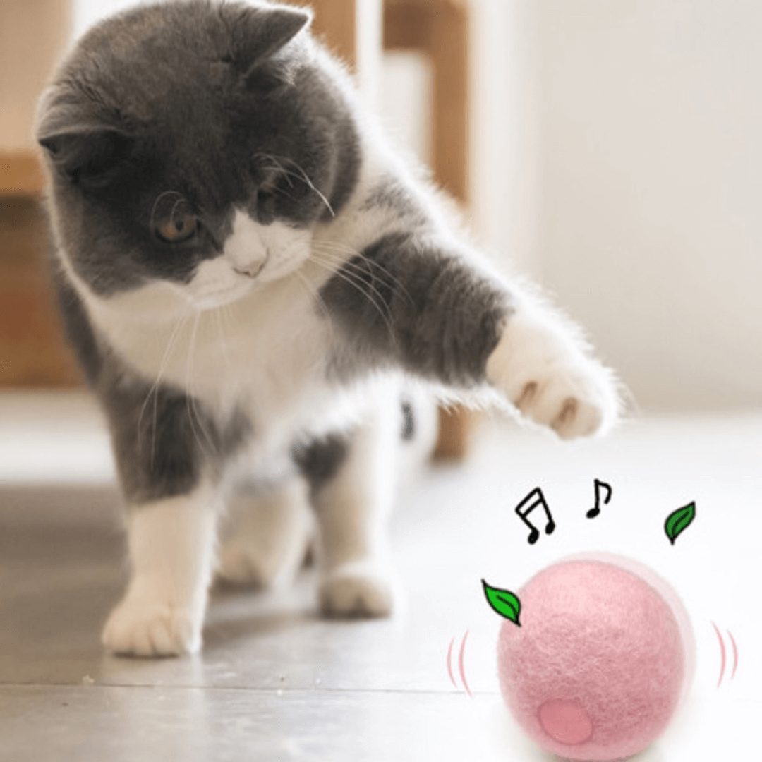 Electronic Bird, Cricket & Frog Sound Catnip Ball Cat Toy