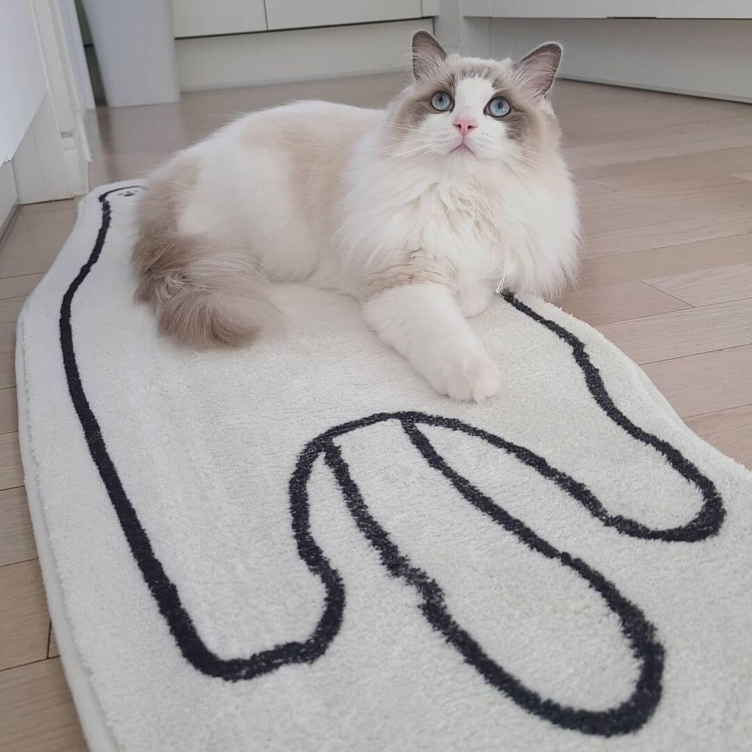 White Cat Belly Rug Petites Paws