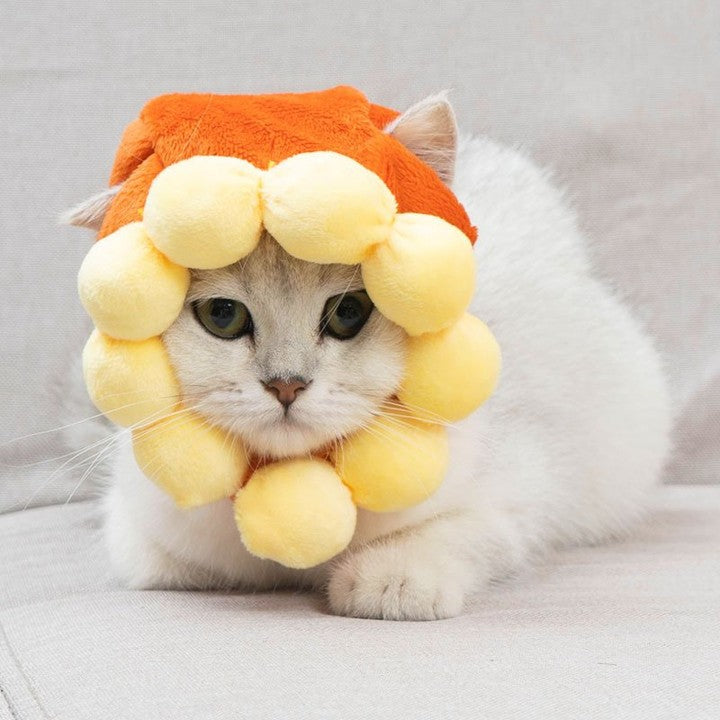Sunflower Cat Costume