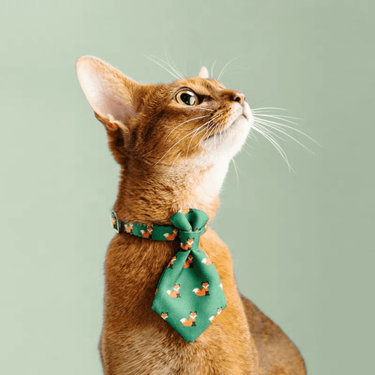 Fox Stylish Cat Necktie, Green