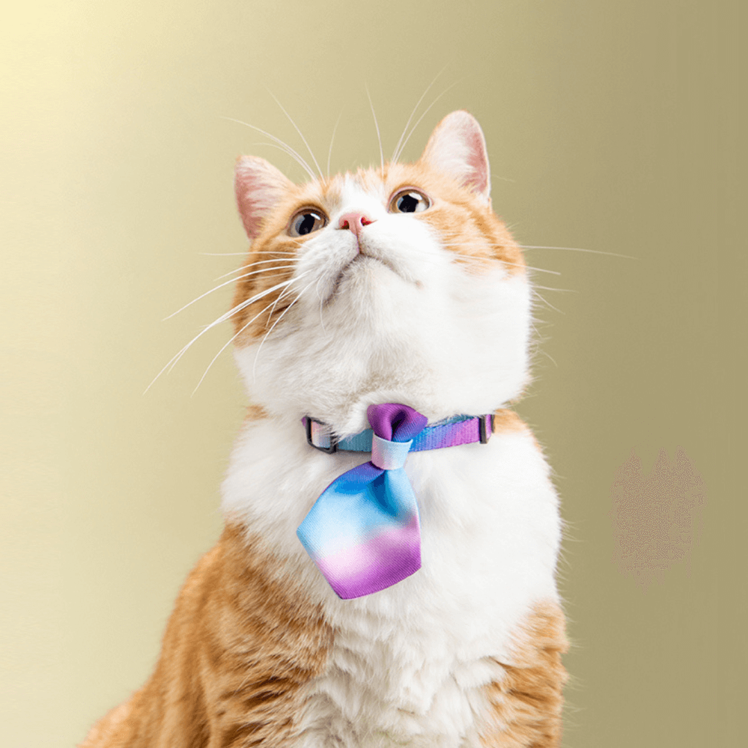 Gradient Fancy Cat Necktie, Purple / Blue