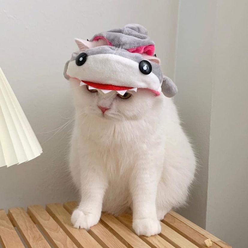 Shark Cat Costume