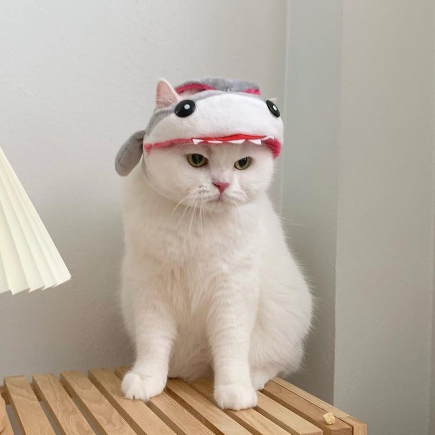Shark Cat Costume