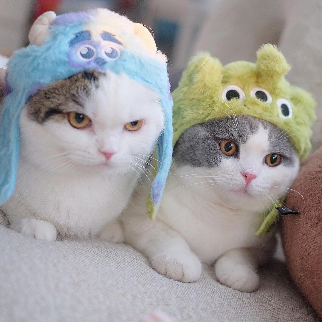 Disney Pixar Sulley Monsters Inc Cat Costume and Alien Toy Story Cat Costume