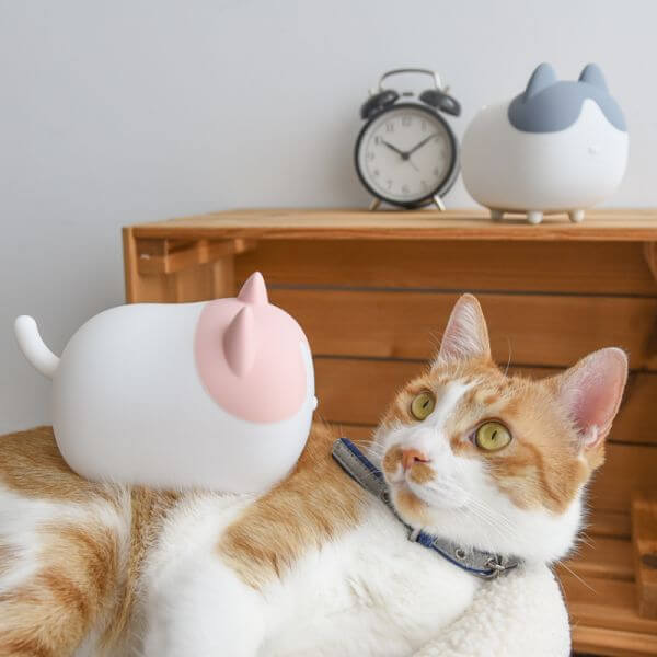 A cat with Silicone Cute Cat Night Light