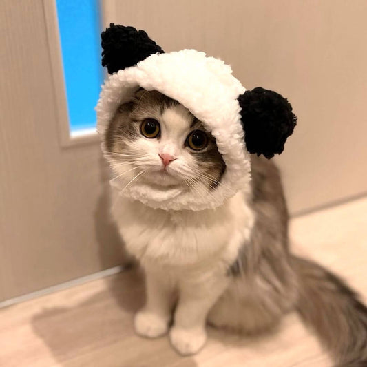 Panda Cat Costume - Petites Paws