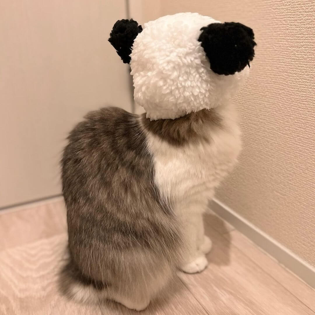 Panda Cat Costume - Petites Paws