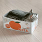 A cat in a Japanese Kawaii Cat Scratch Box with Cardboard