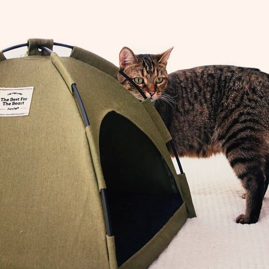 mini cat tent Kitty Camper Cat Tent Bed – Petites Paws