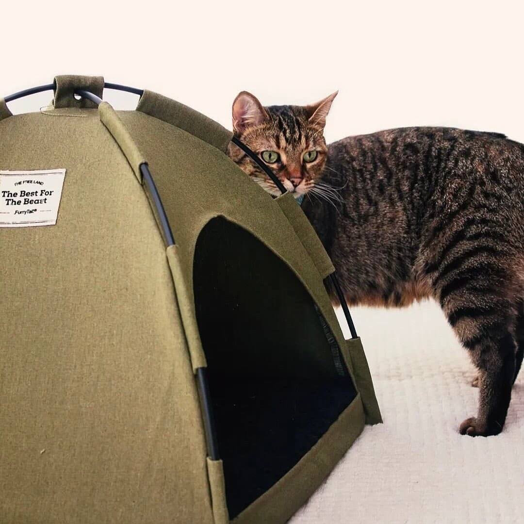 Kitty Camper Cat Tent Bed - Petites Paws