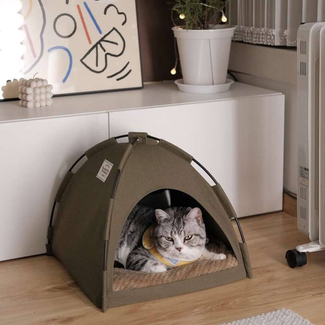 Kitty Camper Cat Tent Bed - Petites Paws