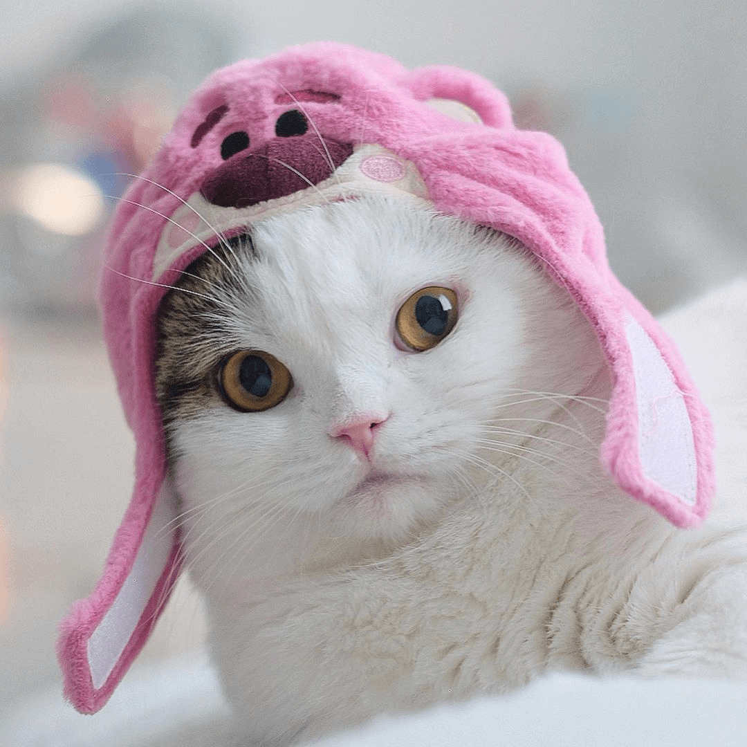 Lotso Toy Story Cat Costume