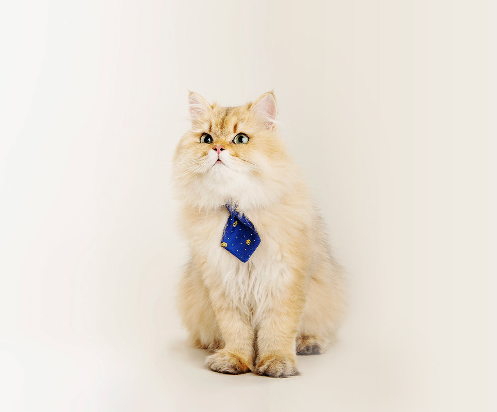 Tiger Classic Cat Necktie, Navy Blue - Petites Paws