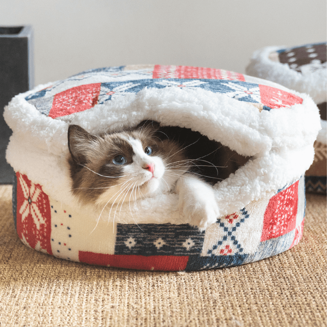 Cat bed covered outlet