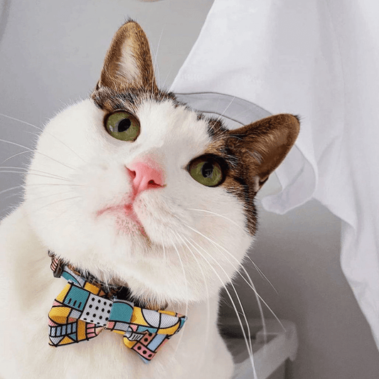 Pidan Mosaic Geometric Cat Collar