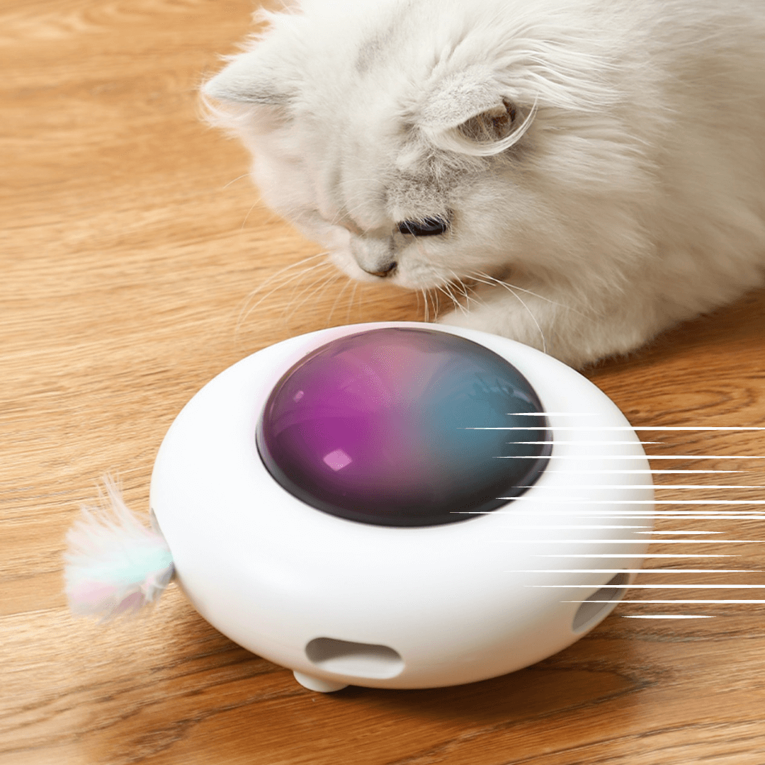 Robotic Feather Pop Up Cat Toy
