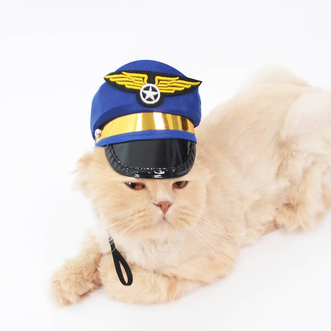 Air Force Cat Costume - Petites Paws