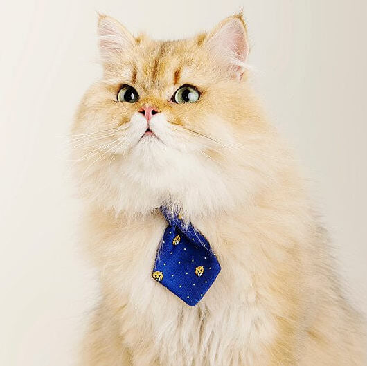 Tiger Classic Cat Necktie, Navy Blue