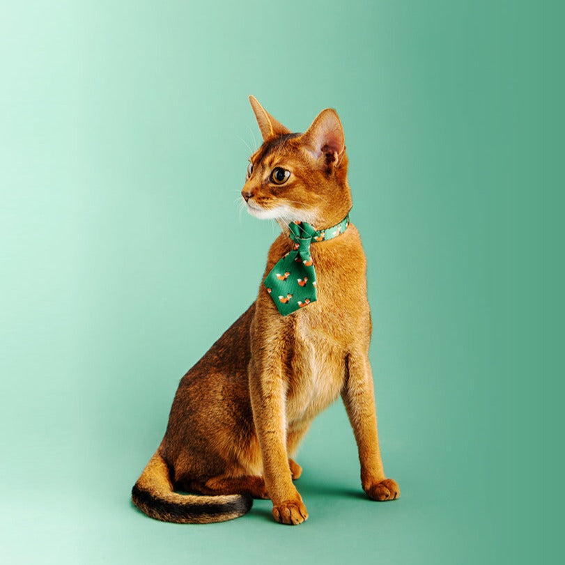 Fox Stylish Cat Necktie, Green - Petites Paws