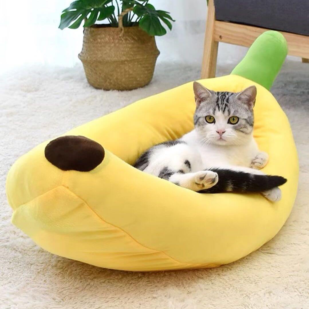 Cat in a banana boat cat bed