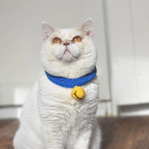 Cat wearing crochet knitting bell cat collar