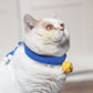 Cat wearing crochet knitting bell cat collar
