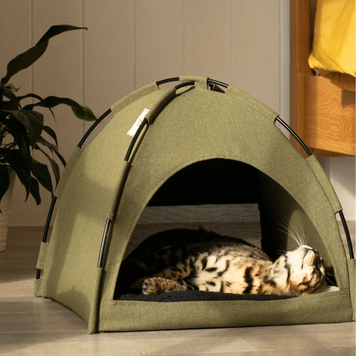 Stunning Tropical Oasis Heated Cat Tent Bed image