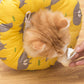 Sweet Comfy Protective Pet E-collar - Petites Paws